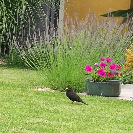 Сasa de vacaciones Stylish House Close To Bratislava