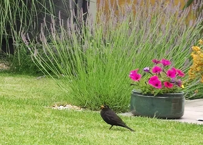 Дом отдыха Stylish House Close To Bratislava